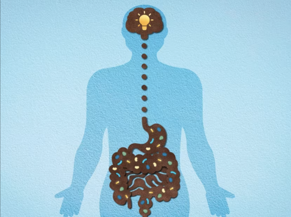 gut health linked to mental health
